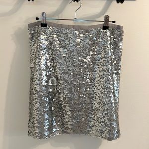 JCrew Sequin MIDI-Skirt